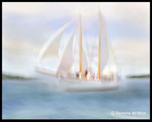 Portland-Sail,-by-Ramona-du-Houx