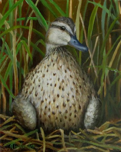“Mallard on Nest” is just one of Bristol Artist Liliana Thelander’s skillfully rendered animal paintings.  See it and others at the Pemaquid Art Gallery this season.