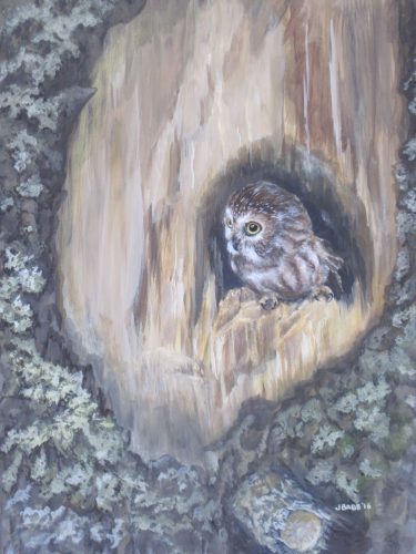 “Saw Whet Owl” is one of award winning artist Julie Babb’s recent efforts at precisely rendered bird paintings currently on display at the Pemaquid Art Gallery.