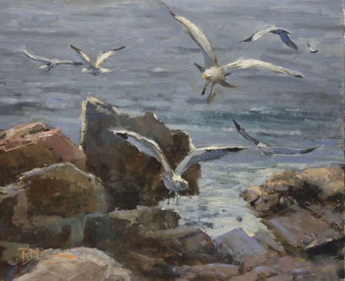 Ocean Gulls Oil on Canvas 20 x 24 inches