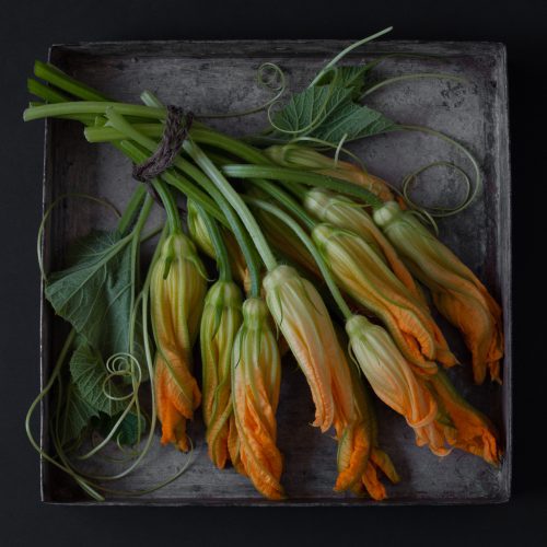 Lynn Karlin, Squash Blossoms, photograph from The Tray Series