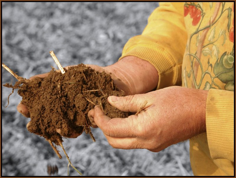 0004 J HOLDING SOIL bw