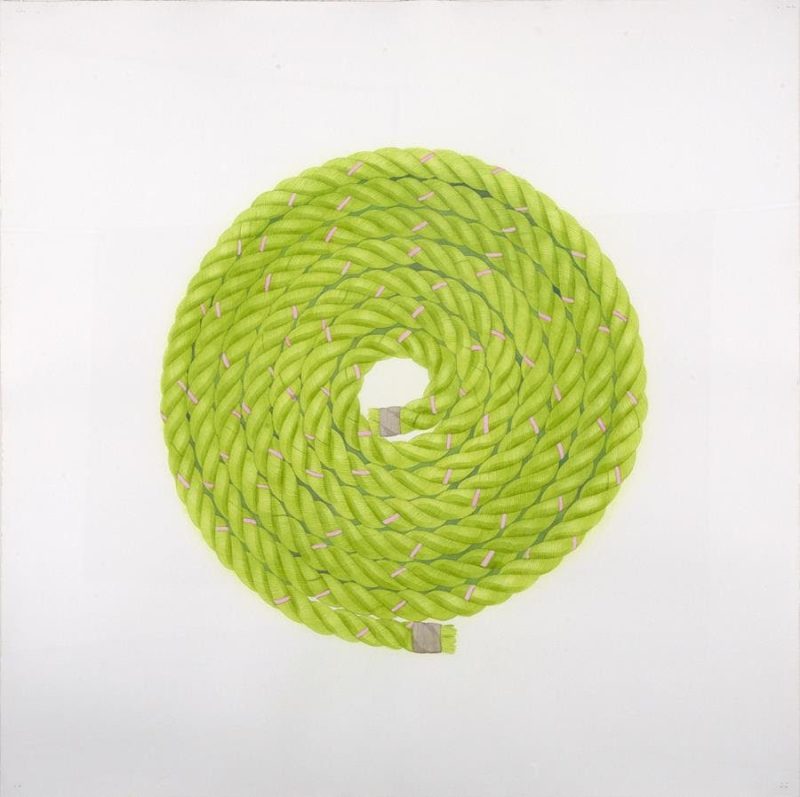 DOWLING Scott Kelley The Big Green One