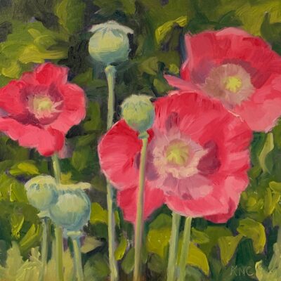 CALL poppies