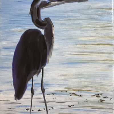 MIDCOAST DebBergman GreatBlueHeron OilOnCanvas x WEB