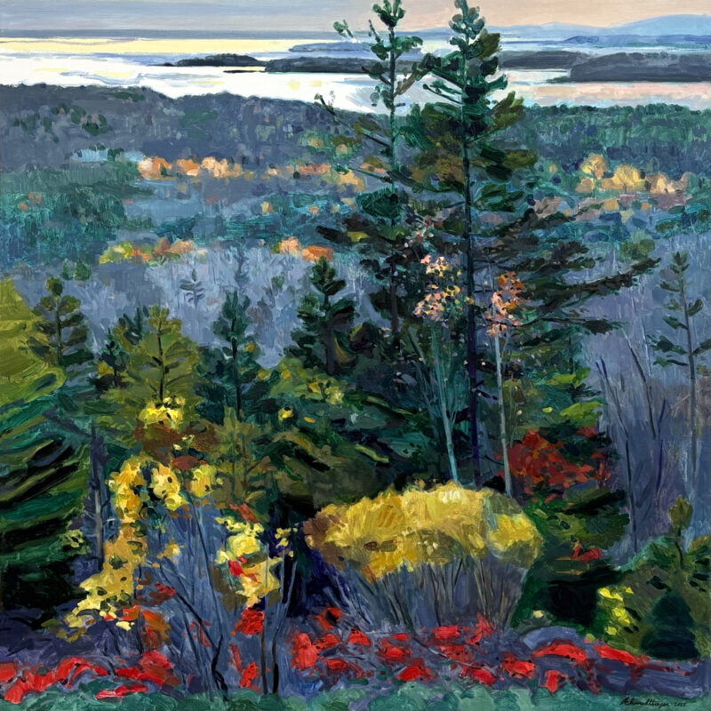 ARTEMIS Schmidtberger Pigeon Hill View x oil on canvas $ K