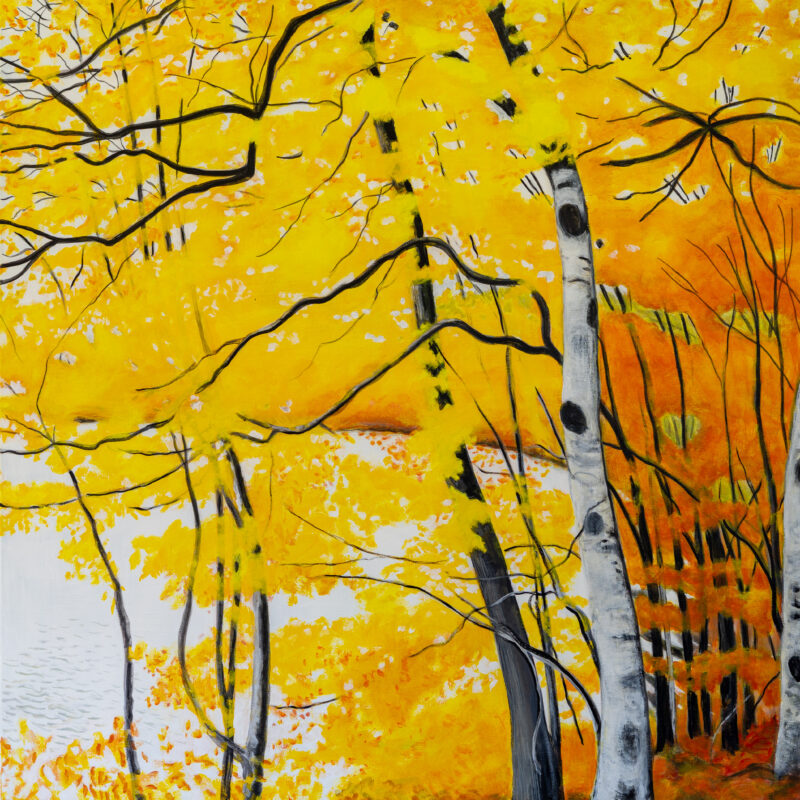 Maine Art Gallery Dahmen MidcoastFall AcrylicOnCanvas x