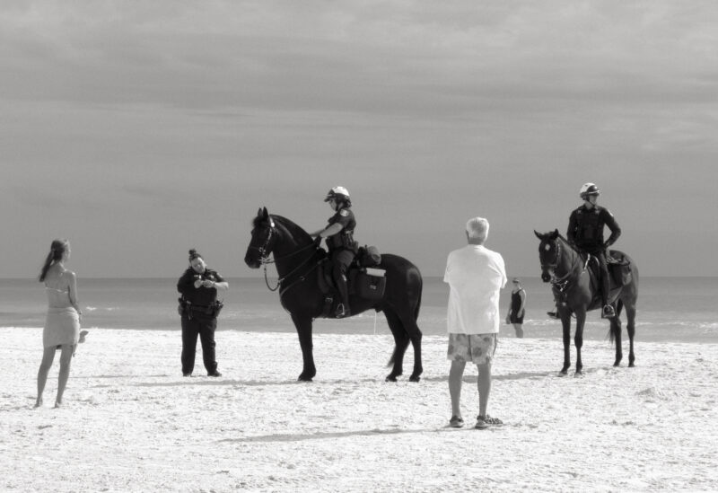 Wiscasset Horse Patrol II