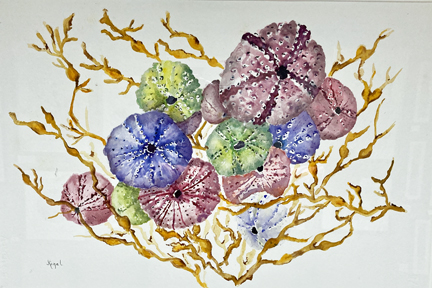 KIGEL Urchin Bouquet