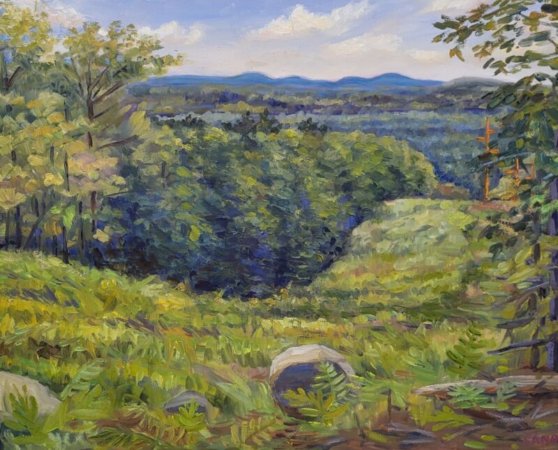 Cassie Sano View from Joes Trail MAG Plein Air resize