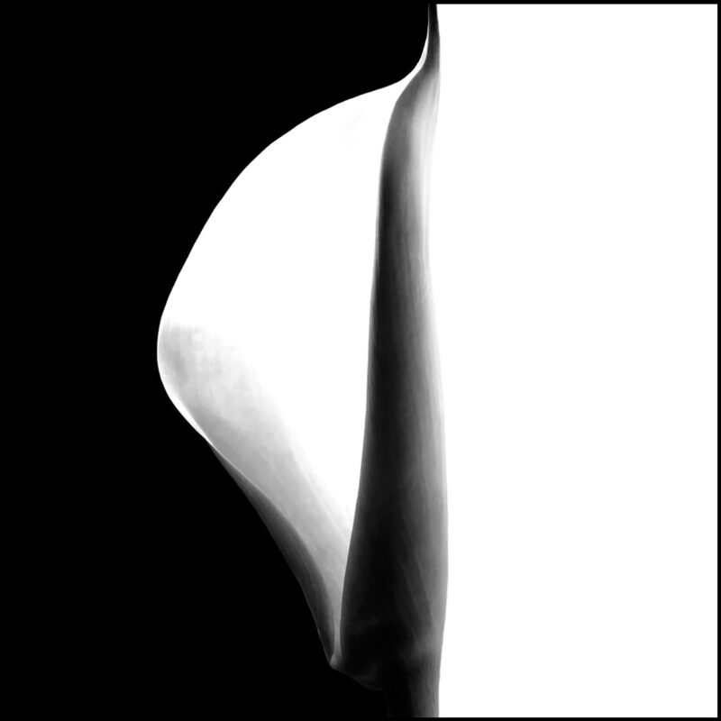 Become With Me Françoise Gervais