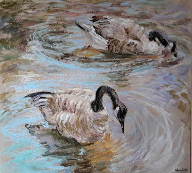 Chutsky Naud Sipping Geese Reflections